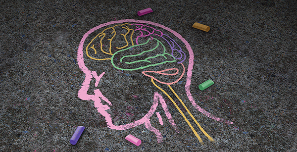 A chalk drawing of a brain on the ground, showcasing intricate details and creativity.