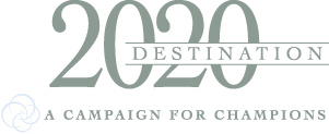 Destination 2020 Campaign Logo Lg
